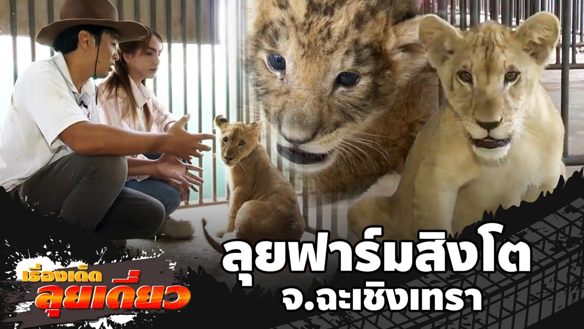 เรื่องเด็ดลุยเดี่ยว | ลุยฟาร์มสิงโต จ.ฉะเชิงเทรา