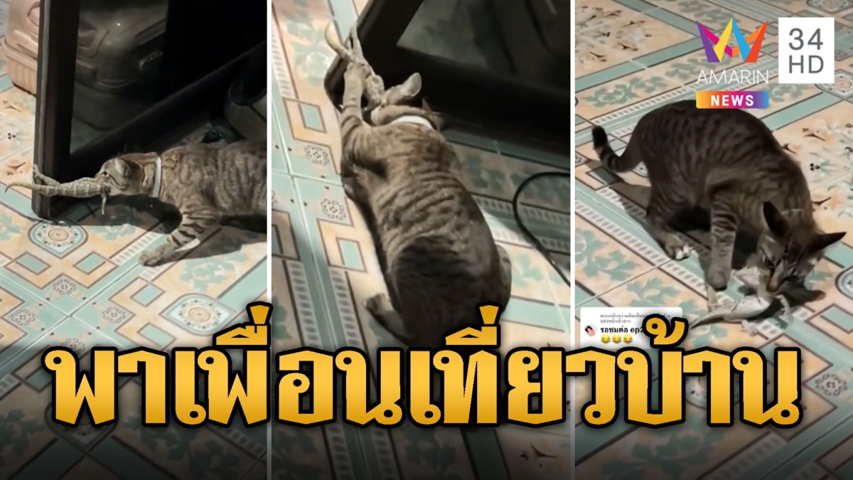 ทาสกรี๊ดบ้านแตก อีอัพ คาบเพื่อนรักเข้าบ้าน