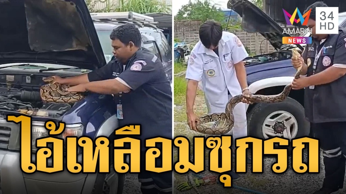 รถสตาร์ทไม่ติด เปิดดูเครื่องยนต์แทบช็อค ไอ้เหลือมซุกรถ