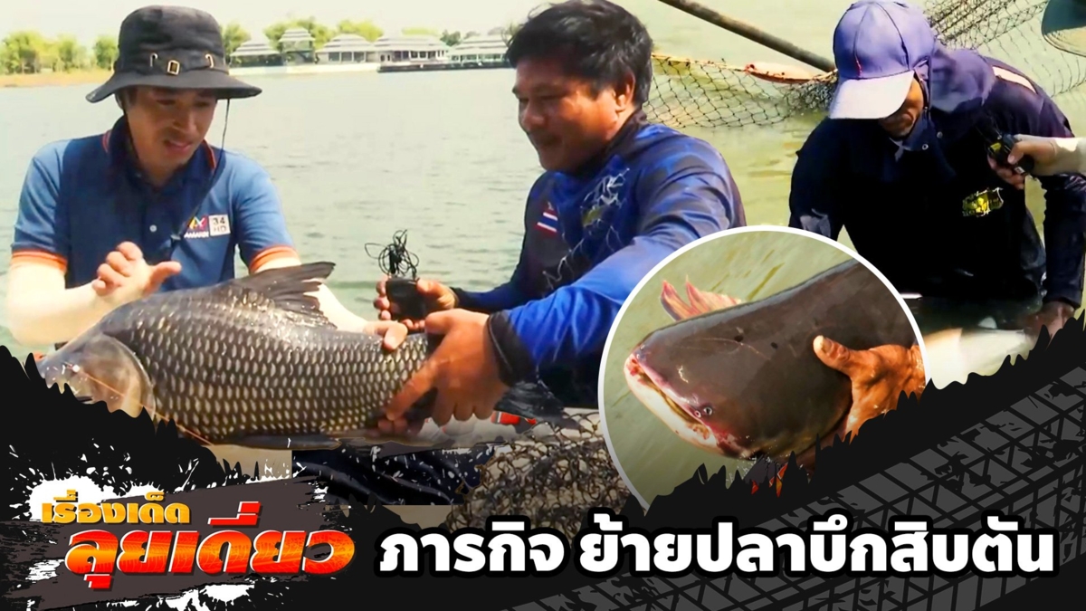 เรื่องเด็ดลุยเดี่ยว | ภารกิจ ย้ายปลาบึกสิบตัน จ.ชลบุรี
