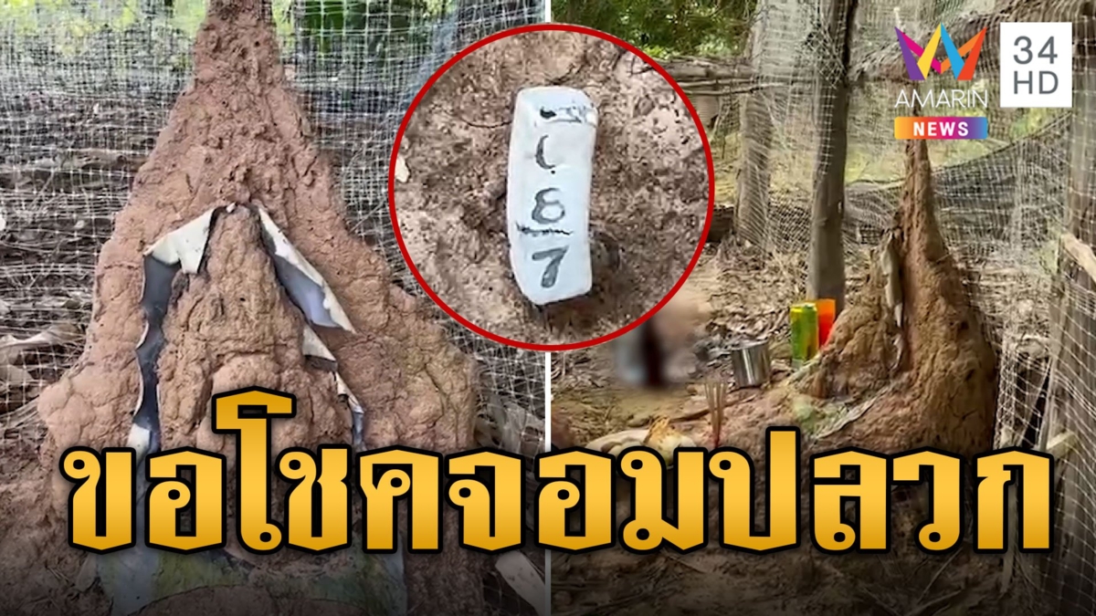 คอหวยตาลุกวาว! ขอโชคจอมปลวกแปลกคล้ายพระสมเด็จ
