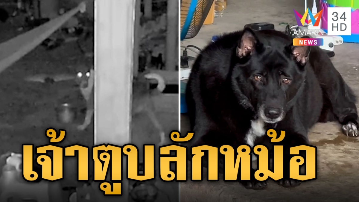 ของหายไม่ซ้ำ! ตั้งกล้องจับโจรที่แท้เจ้าตูบมาลัก