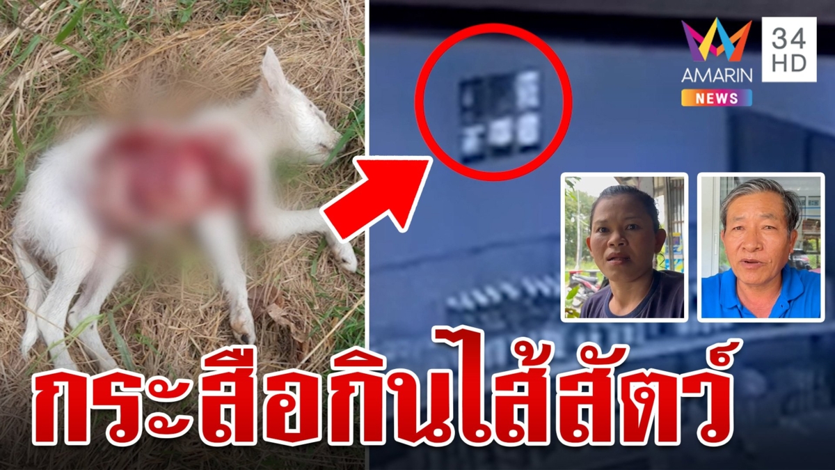 ระยองผวา! กระสือกินไส้สัตว์โผล่ ขอหมอปลาพิสูจน์หลังวงจรปิดชัด