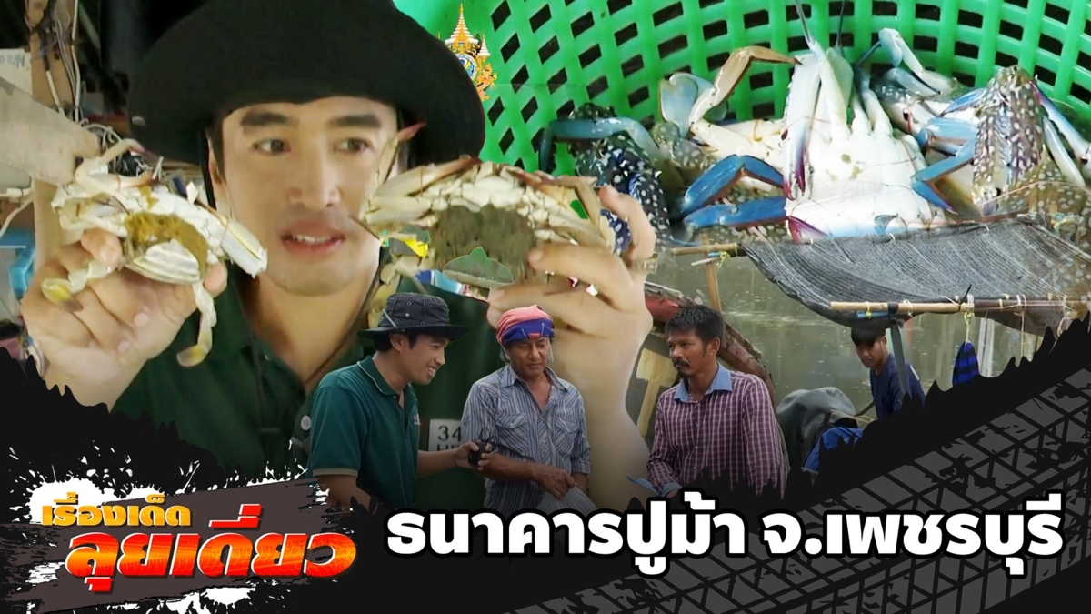 เรื่องเด็ดลุยเดี่ยว | ธนาคารปูม้า จ.เพชรบุรี
