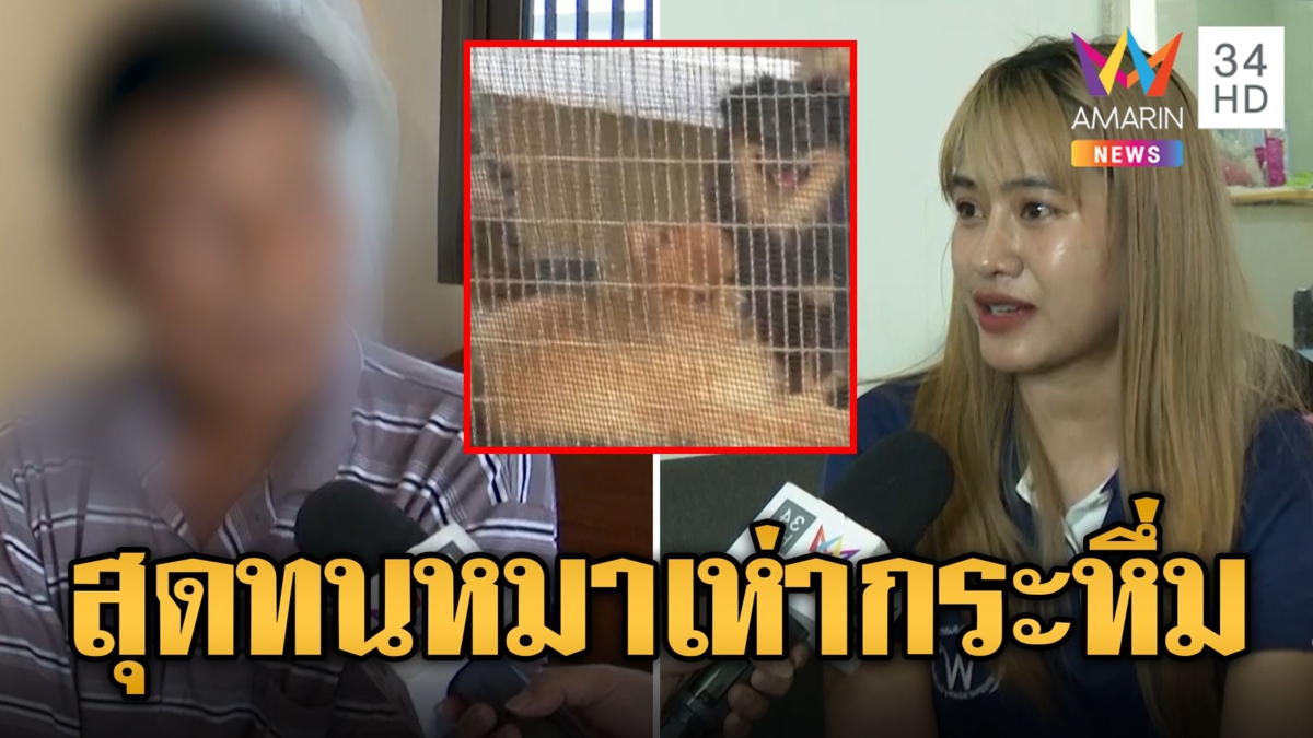 สุดทน! หมาเพื่อนบ้านนับสิบเห่ากระหึ่ม