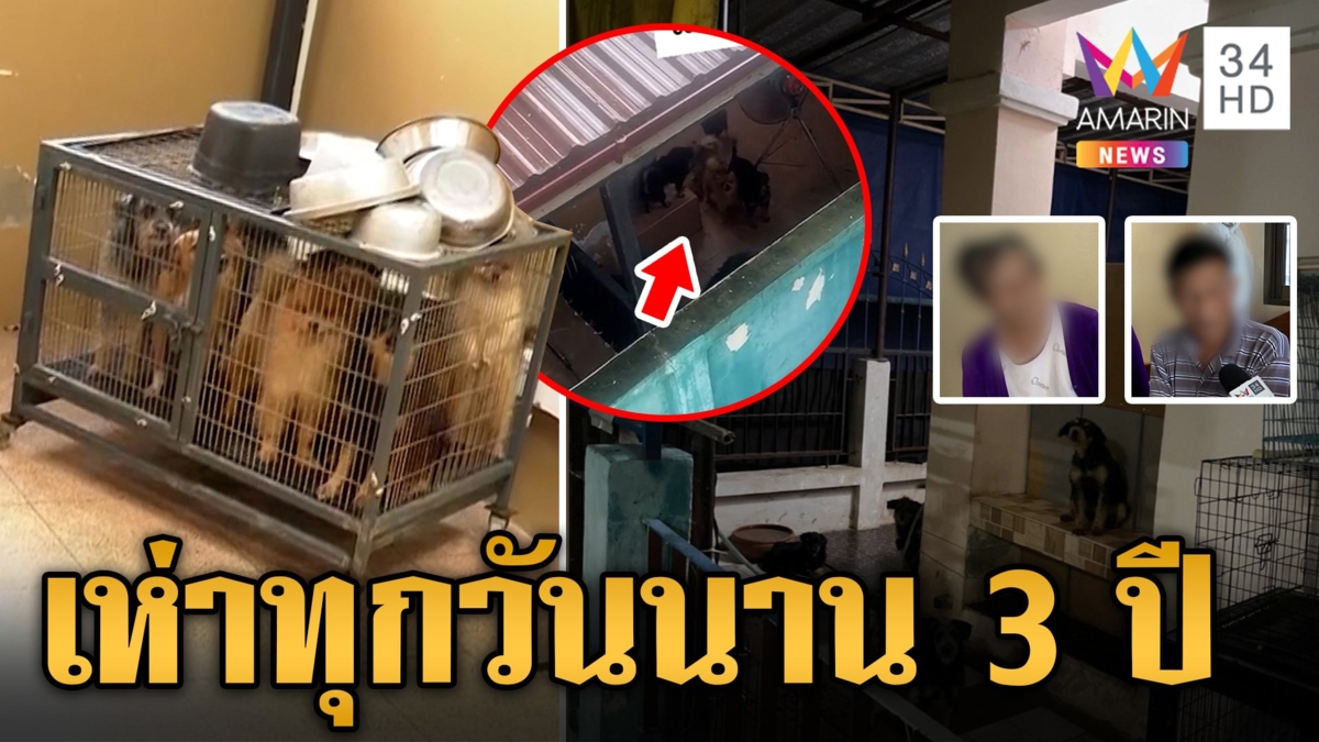 สุดทน! หมาเพื่อนบ้านเห่าทำไม่ได้นอน เจ้าของน้อมรับจ่อส่งให้หลานเลี้ยง