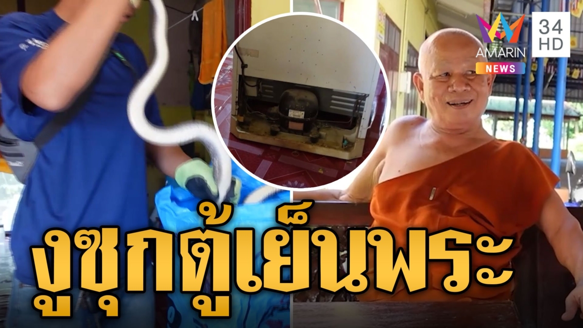 หลวงพ่อใจไม่ดี! งูสิง 2 เมตร โผล่ซุกตู้เย็นในกุฏิ
