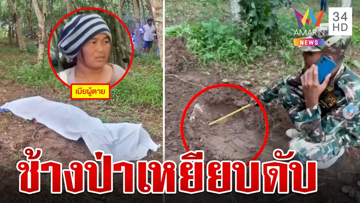 สลด!ช้างป่าไล่เหยียบลุงกรีดยาง เสียชีวิตต่อหน้าเมีย
