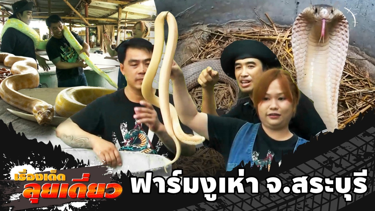 เรื่องเด็ดลุยเดี่ยว | ฟาร์มงูเห่า จ.สระบุรี