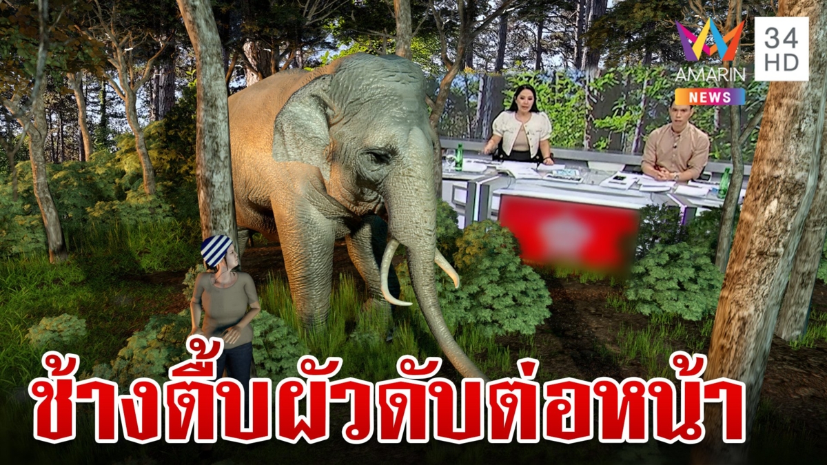 ออกไปกรีดยาง!ผัวถูกช้างป่าไล่ตื้บดับ ส่วนเมียรอดหวุดหวิด