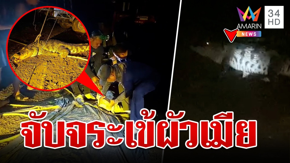 ไล่ล่าจับครบแล้ว "จระเข้" ผัวเมียโผล่คลองนครสวรรค์ "สุนัข" ไล่เห่าทำจนมุม