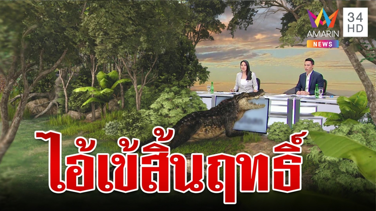 หมาหรือไกรทอง? "ไอ้เข้" หนีเสียงเห่าสุดท้ายสิ้นฤทธิ์ถูกจับแพ็กคู่