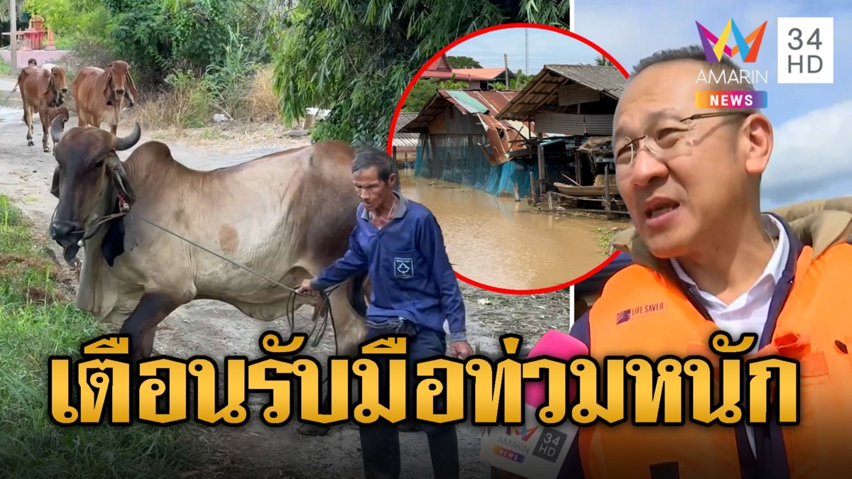ชาวบางบาลเร่งอพยพวัวหนีน้ำ สทนช.ออกเตือนปชช.รับมือ