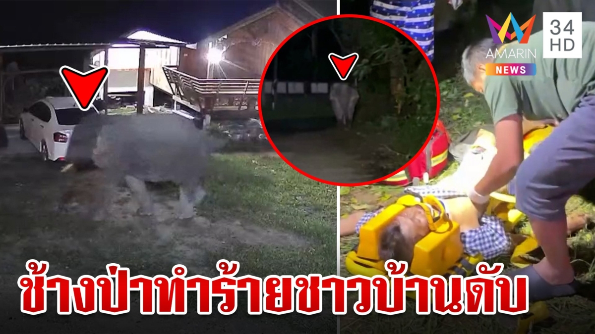 ไม่ชอบไฟส่องหน้า!ช้างป่าออกนอกเขตอุทยานฯไล่ทำร้ายชาวบ้านดับสลด