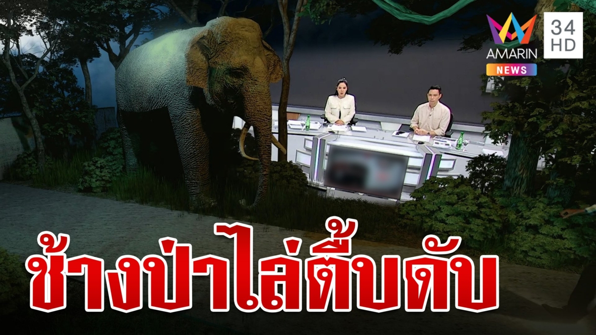 ระทึก! ช้างป่าแพ้แสงไฟส่องหน้าไล่ตื้บชาวบ้านดับ