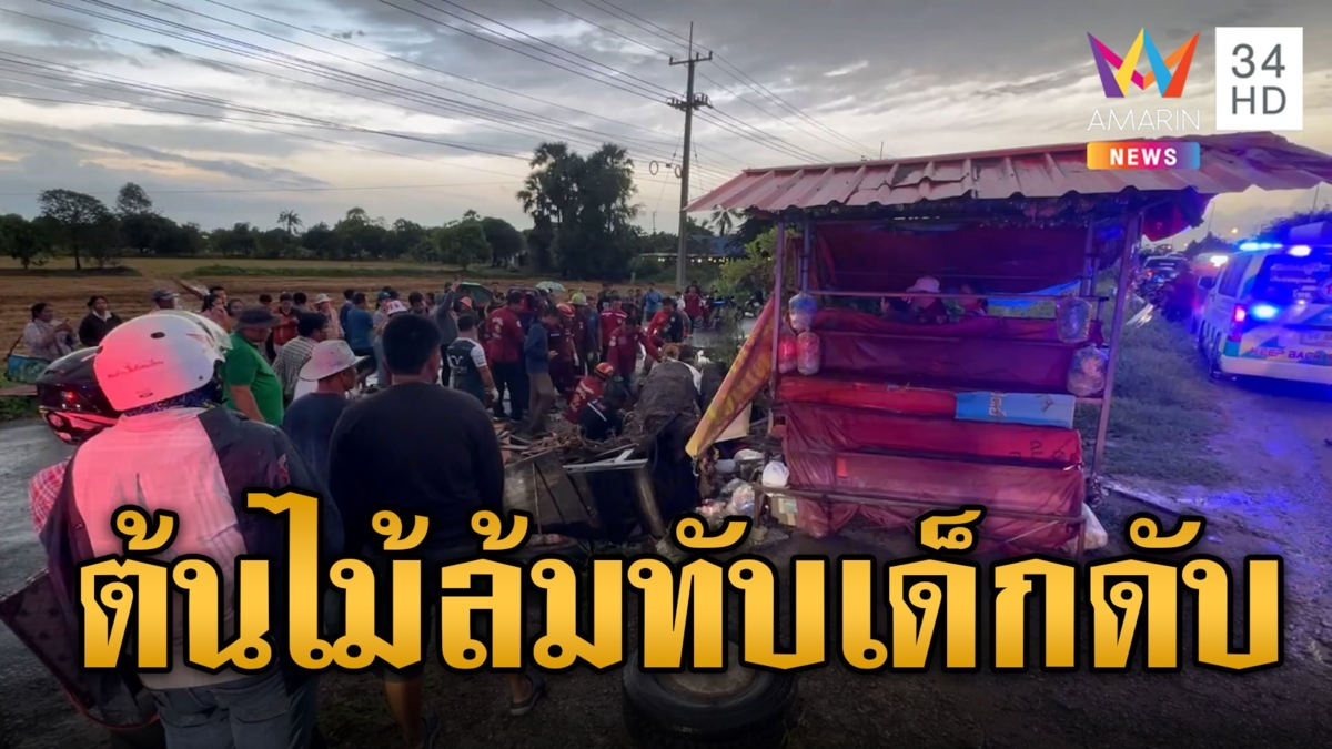 สุดเศร้า พายุซัดต้นกระถินยักษ์โค่นล้มทับเด็ก 8 ขวบเสียชีวิต