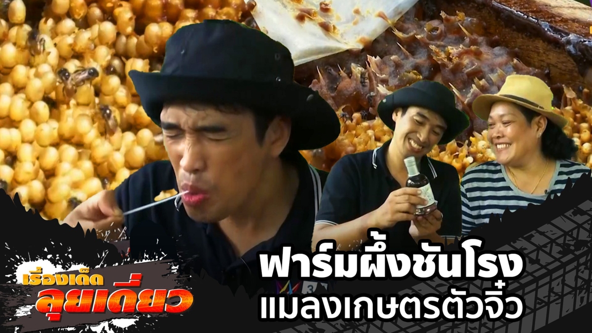 เรื่องเด็ดลุยเดี่ยว | ฟาร์มผึ้งชันโรง แมลงเกษตรตัวจิ๋ว จ.ราชบุรี