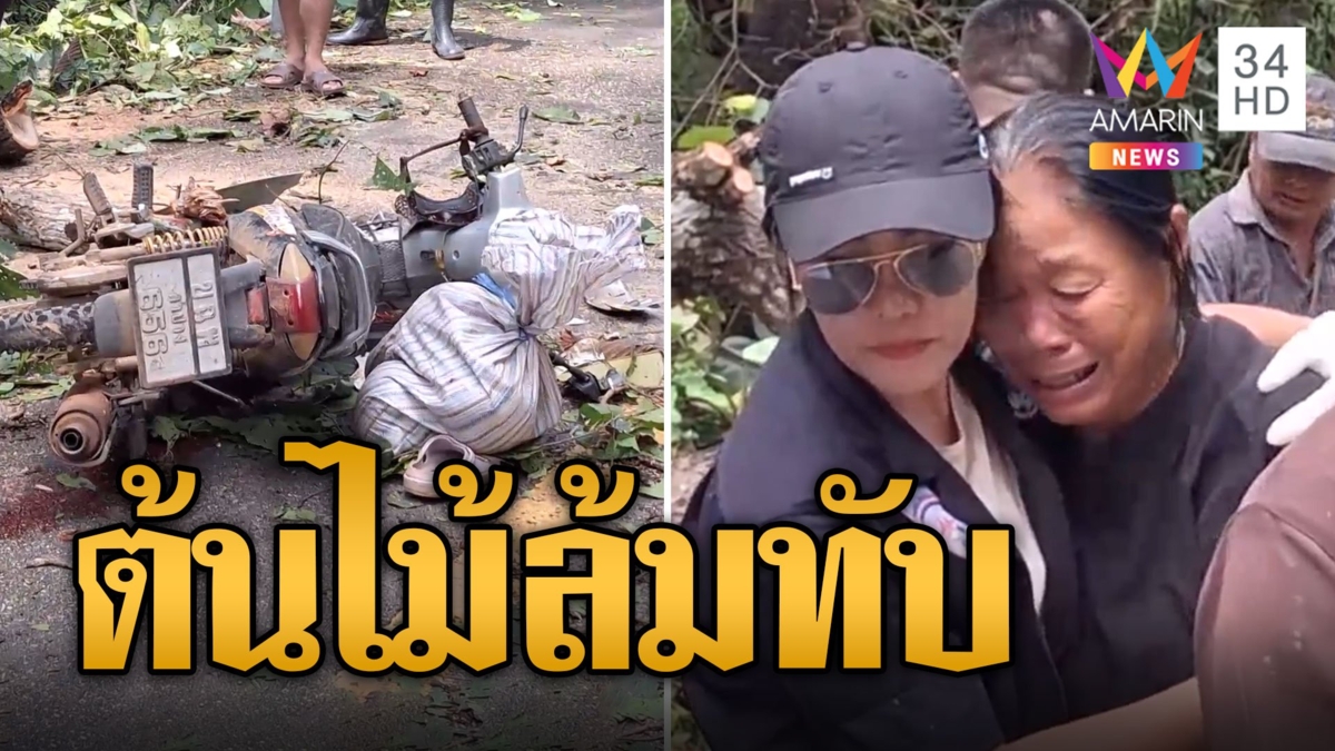 พายุ “ซูลิก” พ่นพิษ สาวเคราะห์ร้ายถูกต้นไม้อุ้มน้ำโค่นทับดับ