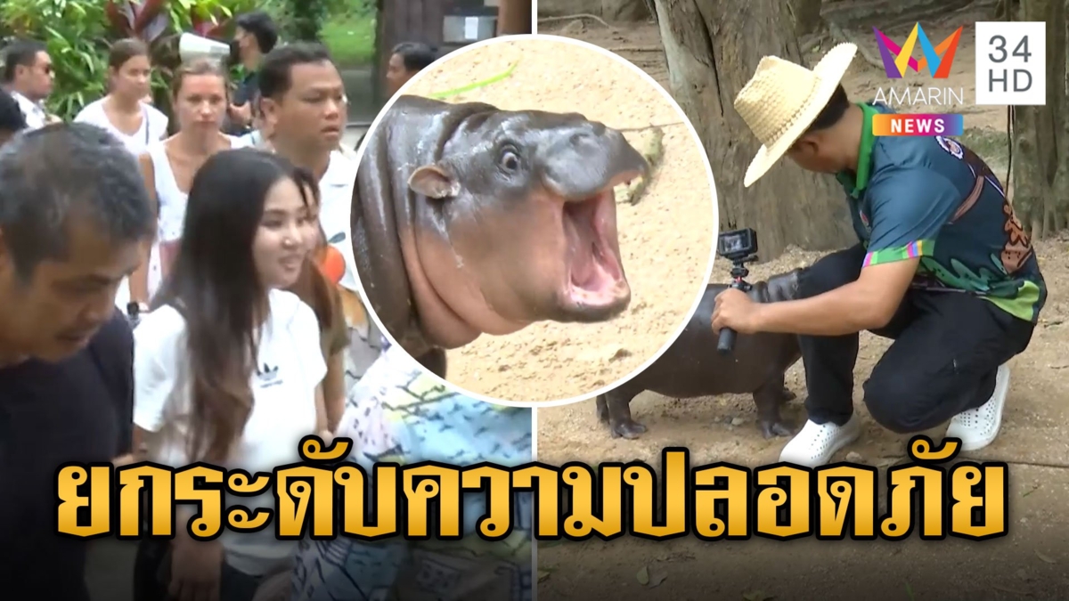 "หมูเด้ง" ฮอตเกินต้าน! คนแห่รอดูแน่น จนท.ยกระดับความปลอดภัย