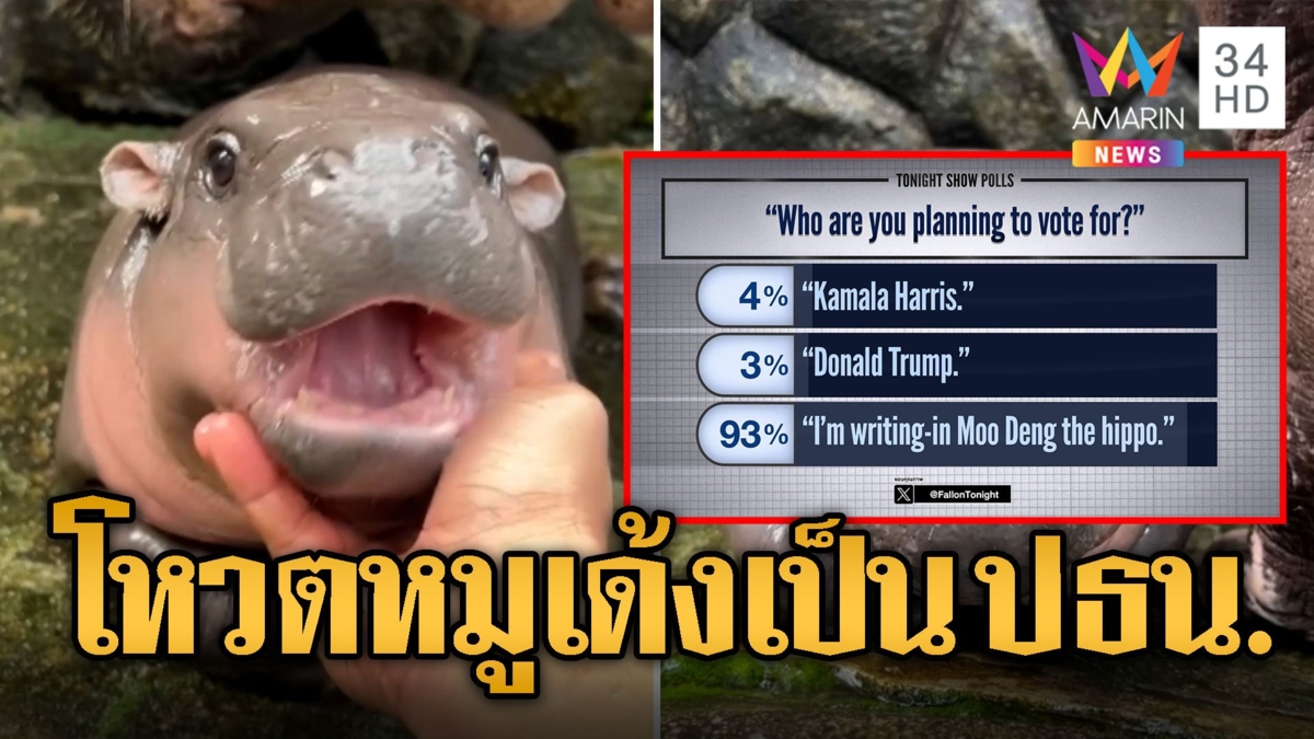 หมูเด้งไม่แผ่ว! ถูกโหวตเป็น ปธน.สหรัฐฯ