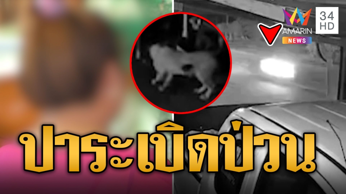 แก๊งโจ๋คะนอง ซิ่งปาระเบิดป่วนกลางดึก