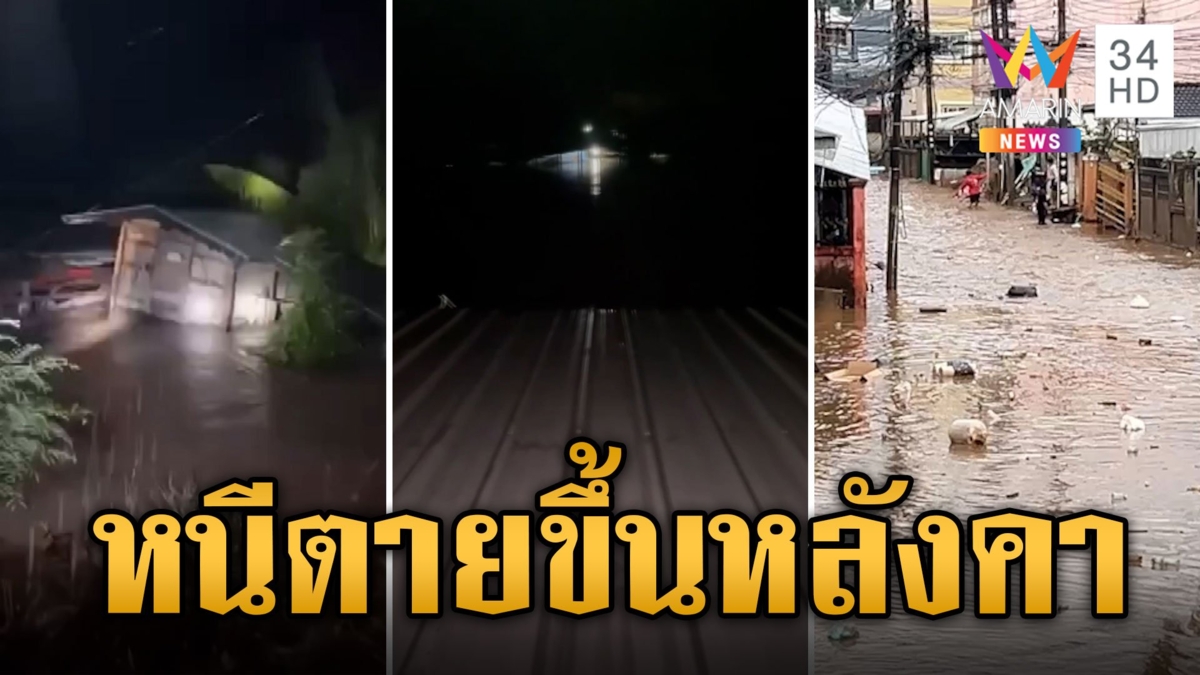 เลยระทึก! น้ำป่าทะลักท่วมไม่ทันตั้งตัว ชาวบ้านหนีตายขึ้นหลังคา