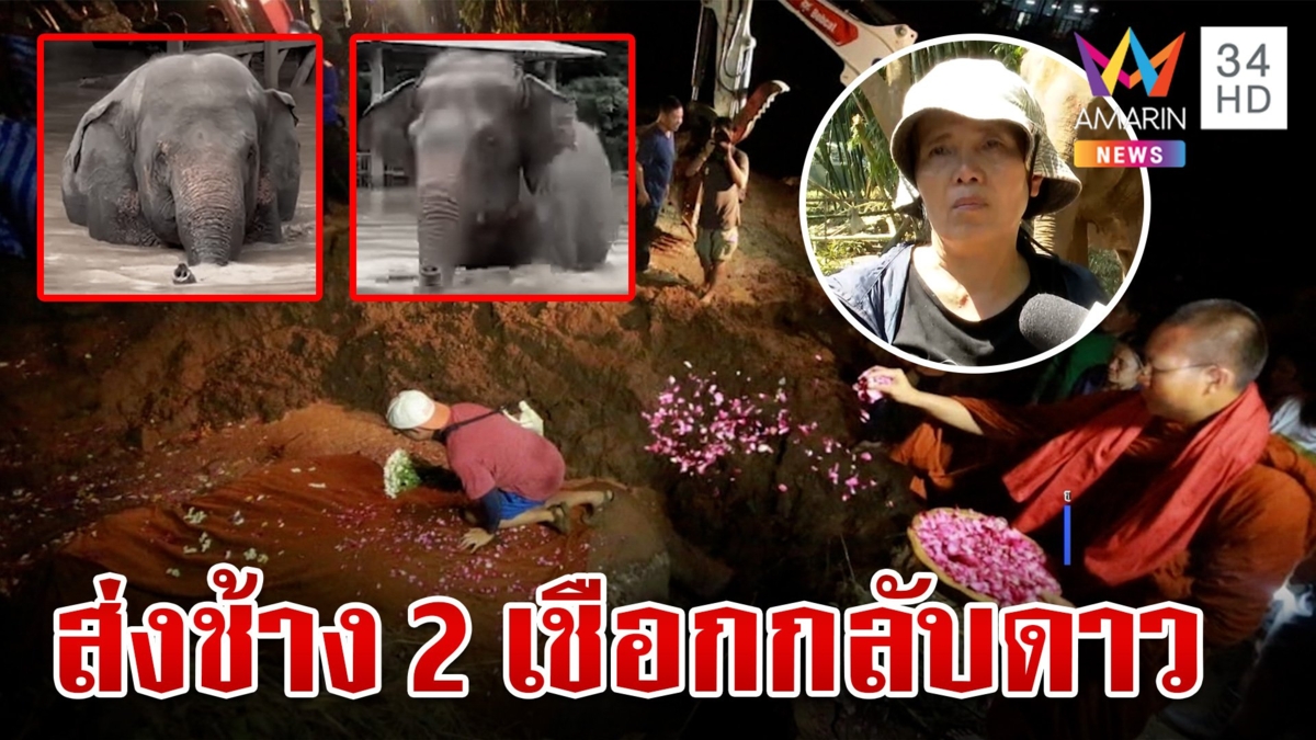 ฝัง "ฟ้าใส-พลอยทอง" 2 ช้างดับสังเวยน้ำป่าถล่มเชียงใหม่