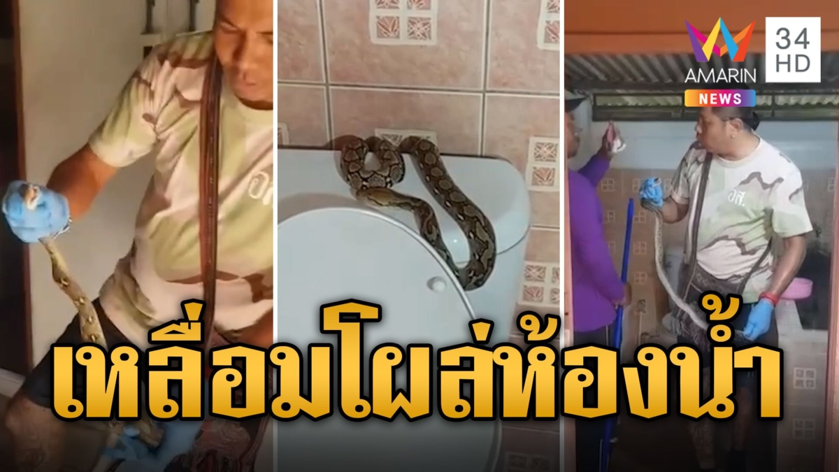 ยายกลั้นแทบไม่ทัน เข้าห้องน้ำหวังปลดทุกข์ เจอเหลือมเกาะชักโครก