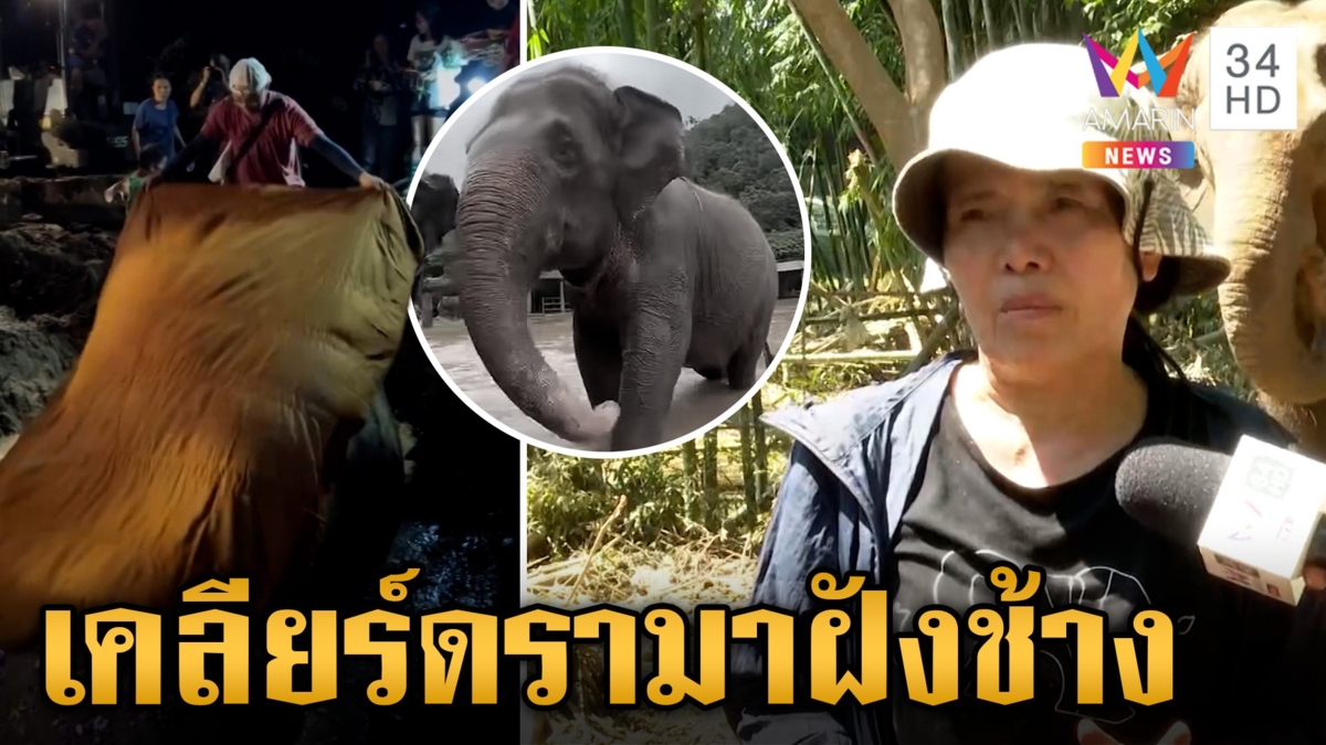 ดรามาฝังซาก "ฟ้าใส-พลอยทอง" แม่เล็กแจงทุกปม