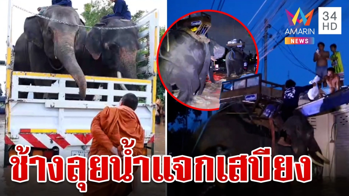 "พระครูอ๊อด" พาช้างเข้าพื้นที่น้ำท่วม ขนเสบียงแจกให้ผู้ประสบภัย