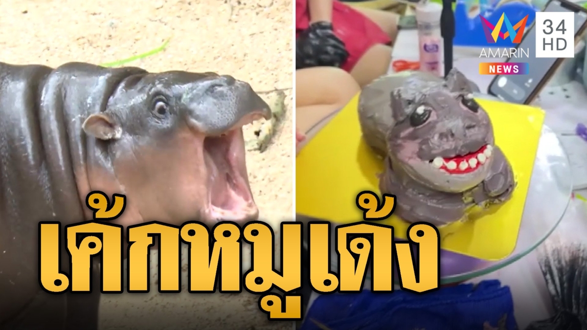 "หมูเด้ง" รันทุกวงการ เค้ก 5 แบบไม่ซ้ำหน้า