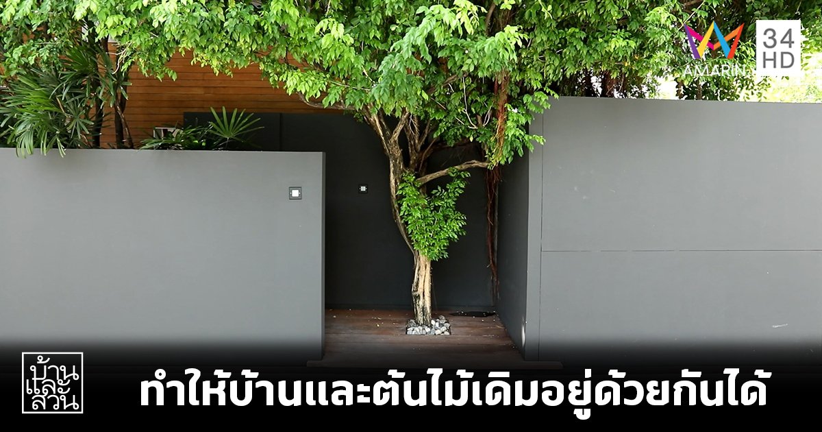 ไอเดียดีๆ ที่ทำให้บ้านและต้นไม้เดิมอยู่ด้วยกันได้