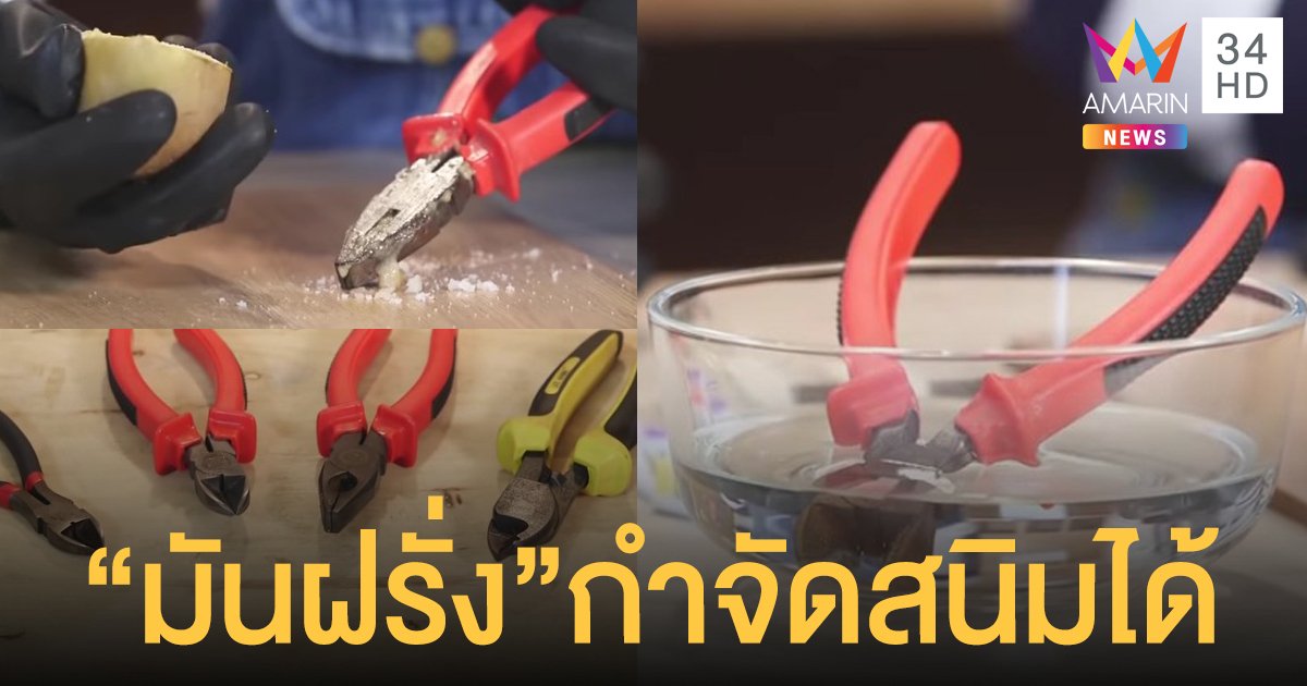 สาธิตการใช้มันฝรั่ง!! กำจัดสนิมบนอุปกรณ์ช่าง ให้กลับมาสะอาดเหมือนใหม่