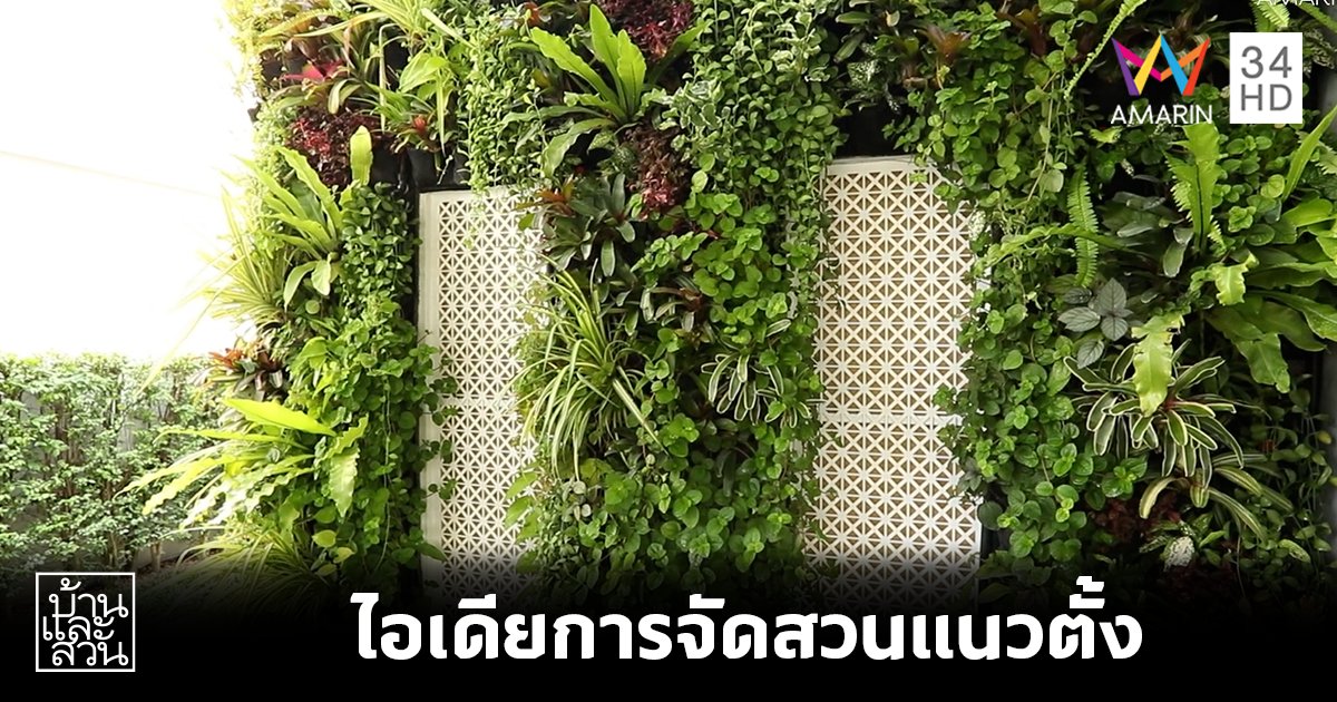 ไอเดียการจัดสวนแนวตั้ง