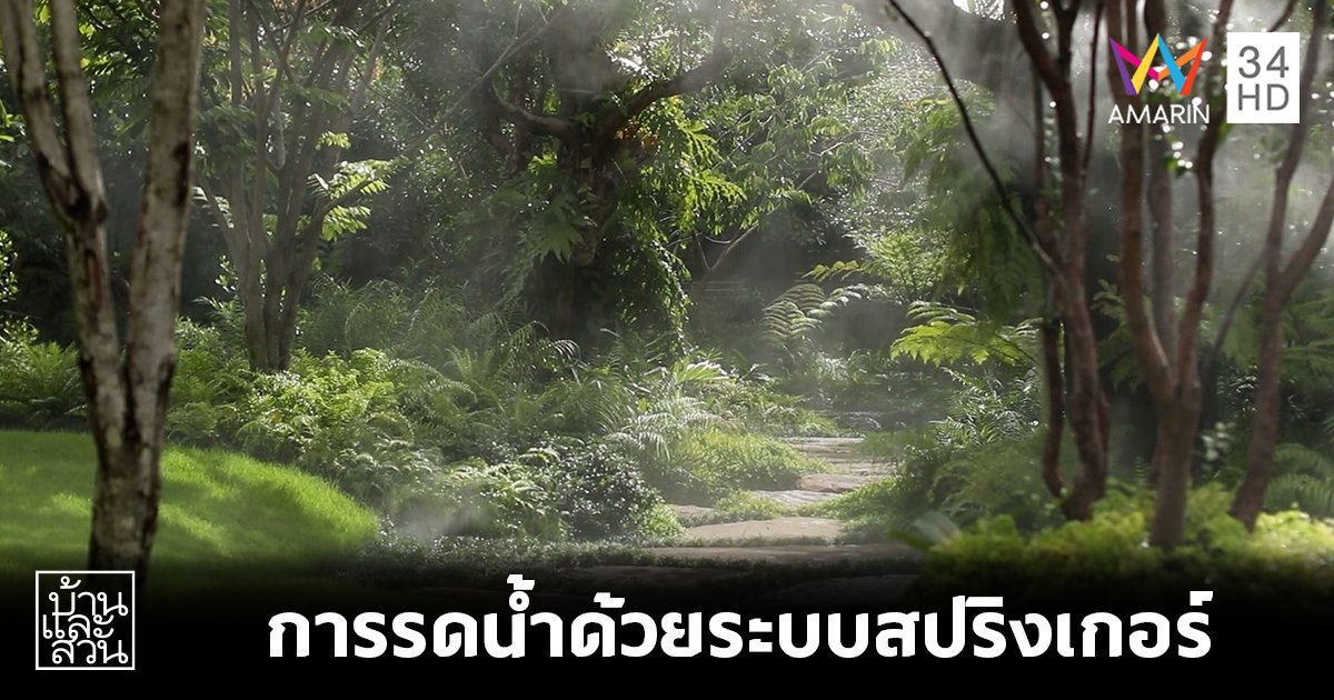 ไอเดียการรดน้ำด้วยระบบสปริงเกอร์