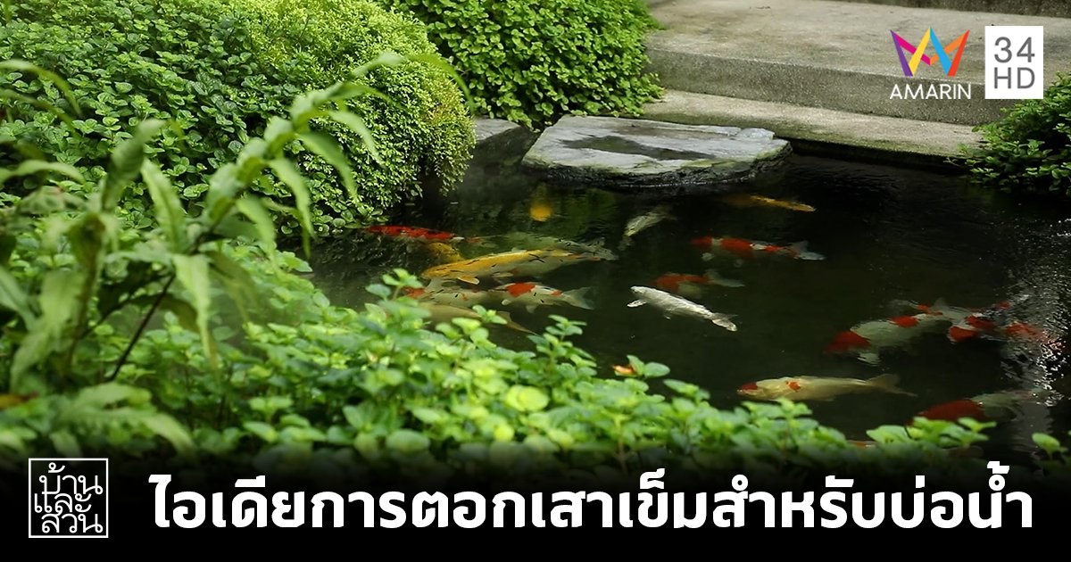 ไอเดียการตอกเสาเข็มสำหรับบ่อน้ำ