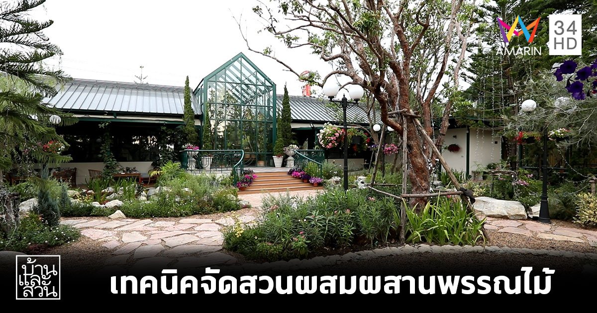 เทคนิคจัดสวนผสมผสานพรรณไม้ (Mixed Border Garden)