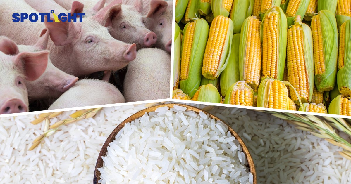 สินค้าเกษตรแพงได้อีก คาดเดือนเม.ย.พุ่งเกือบยกแผง เหตุสงกรานต์ทำดีมานด์เพิ่ม-น้ำมันขึ้นต่อ