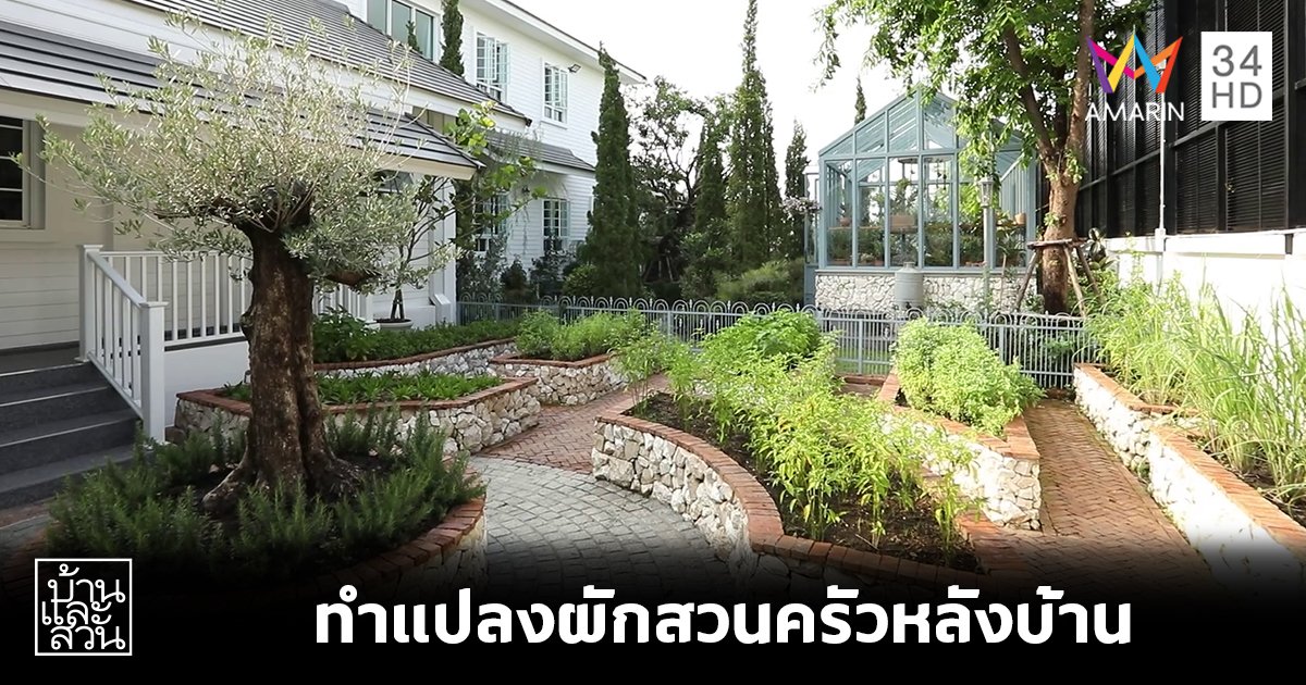 บ้านและสวน แนะนำไอเดียดีๆ ในการทำแปลงผักสวนครัวหลังบ้าน