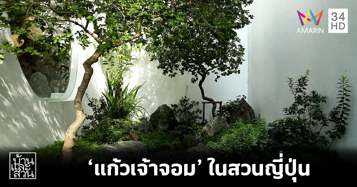 ไอเดียการปลูก "แก้วเจ้าจอม" ในสวนสไตล์ญี่ปุ่น (Modern Japanese Garden)