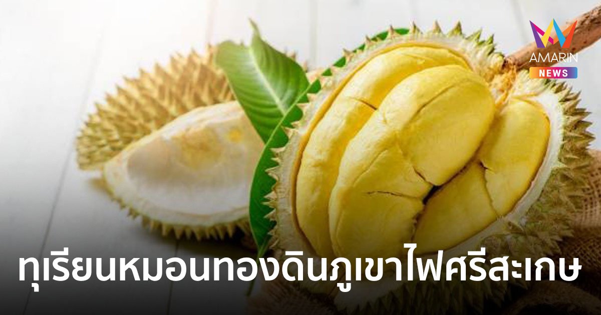 ไปรษณีย์ไทย เปิดจำหน่าย “ทุเรียนหมอนทองดินภูเขาไฟศรีสะเกษ” ลูกใหญ่-เนื้อแน่น