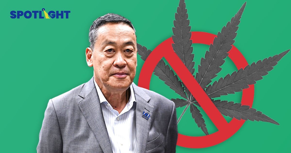 ‘เศรษฐา’ ประกาศเลิกกัญชาเสรีใน 6 เดือน จำกัดเพื่อการแพทย์เท่านั้น