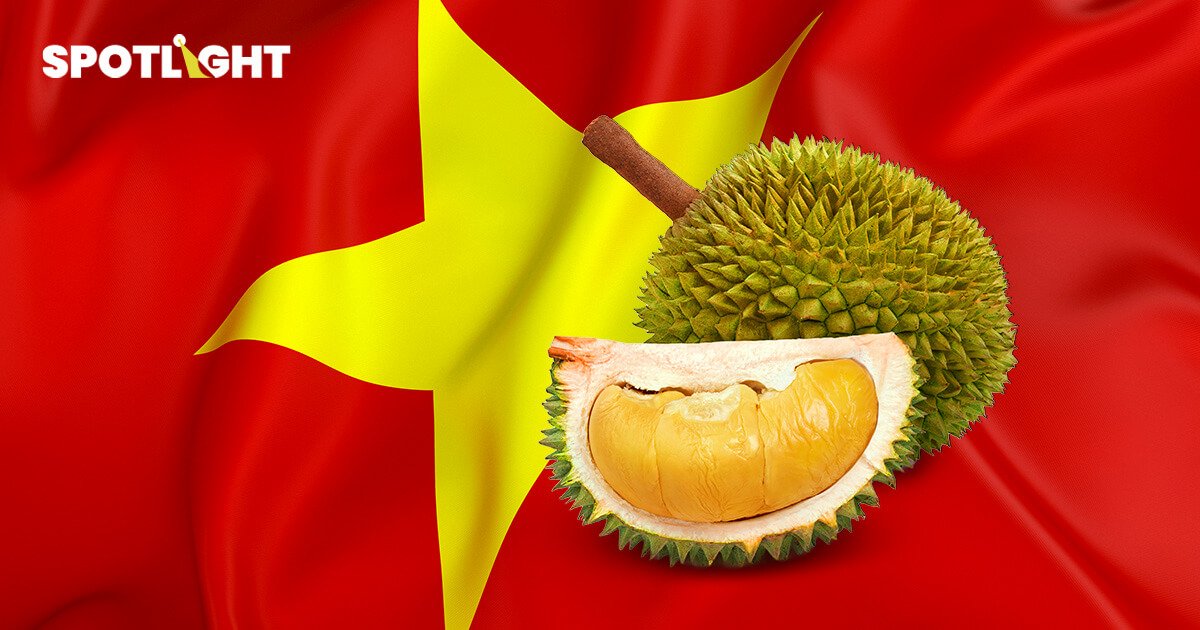 ทุเรียนเวียดนามโตแรง จีนหนุนนำเข้าพุ่งกว่า 5.4 หมื่นล้านบาท  
