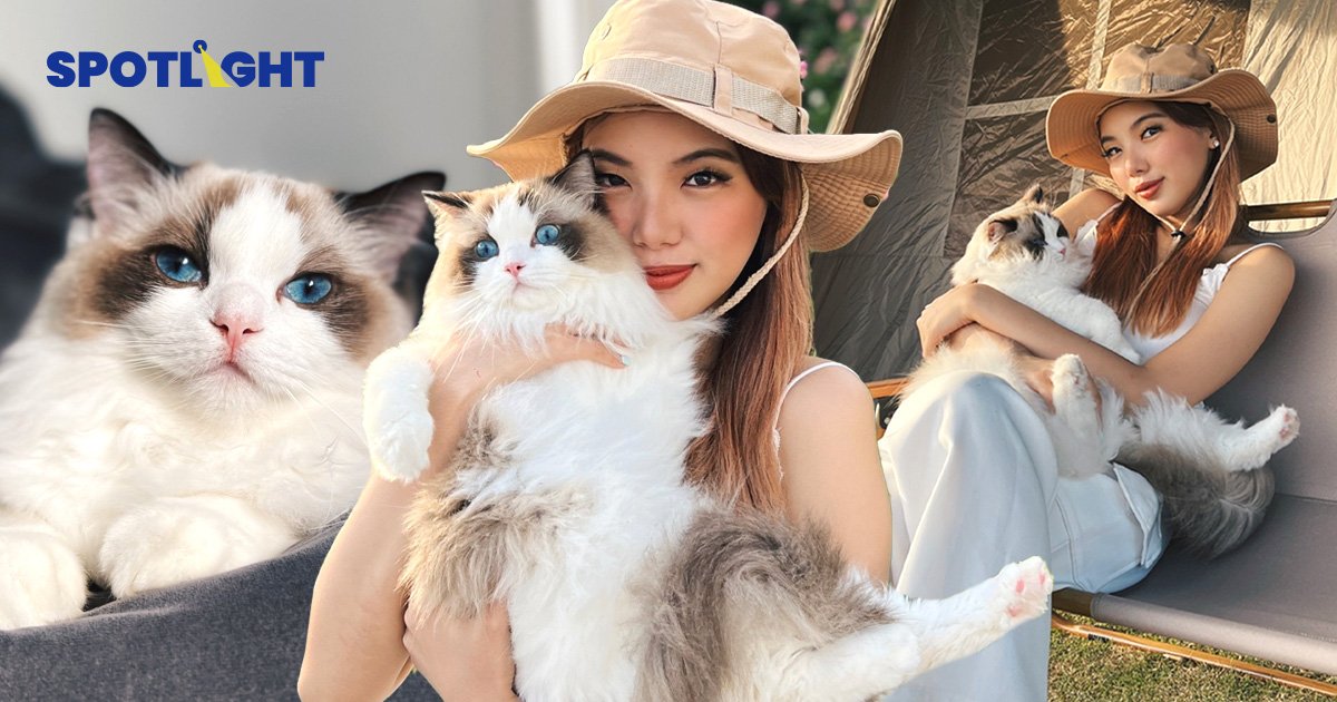 Pet Parents สายเปย์ แม่อดได้ แต่ลูกต้องอยู่สบาย ยอมจ่าย 2 หมื่น/ตัว/ปี