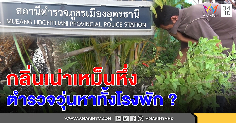 กลิ่นศพเน่าคลุ้งโรงพัก! ตร.วุ่นรื้อฝ้า คิดว่าหนูตาย เหม็นจัดแทบอ้วก สุดท้ายคือ....! (คลิป)