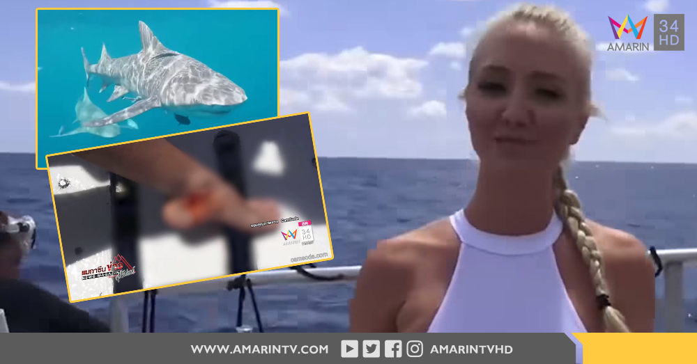 เย็บ 20 เข็ม!! ชมคลิปวินาที 'นางแบบสาว' ถูก 'ฉลามกัด' ระหว่างถ่ายทำใต้น้ำ