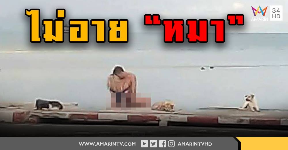 เสื่อมหนัก! ฝรั่งมีเซ็กส์ อล่างฉ่าง บนฟุตปาธริมทะเล (คลิป)