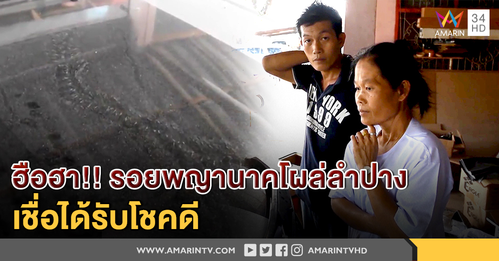 รอยพญานาค "โผล่" ลำปาง เลื้อยผ่านฝากระโปรงรถ เจ้าของร้านเชื่อให้โชค