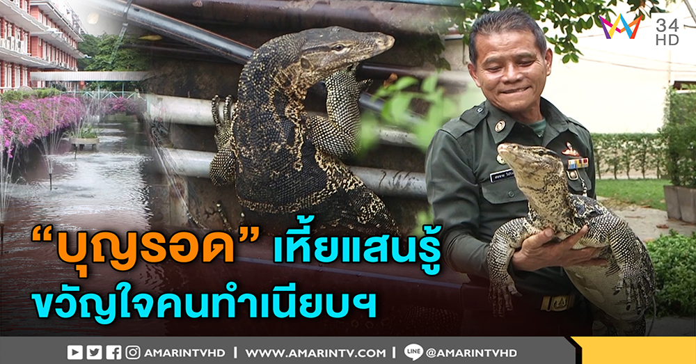 “บุญรอด” เหี้ยแสนรู้ในทำเนียบฯ คนเลี้ยงอึ้งรู้คุณ พาหาหมอ หายเจ็บกลับมาอยู่ข้างกาย (คลิป)