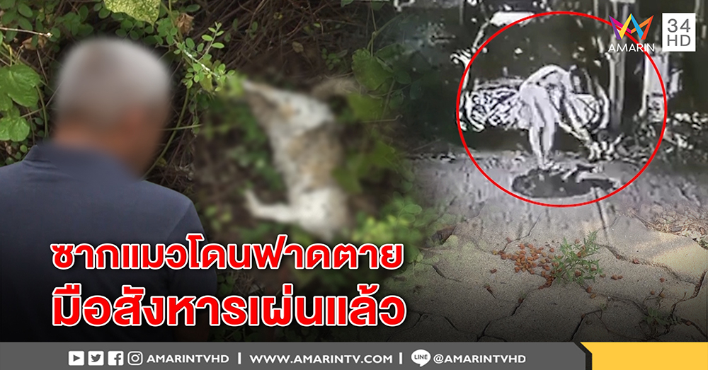 ภาพชัดมัดชายฟาดแมวตาย อึ้งซากเกลื่อนบ้านร้าง เพื่อนบ้านเผยหอบผ้าเผ่นคาดหนี (คลิป)